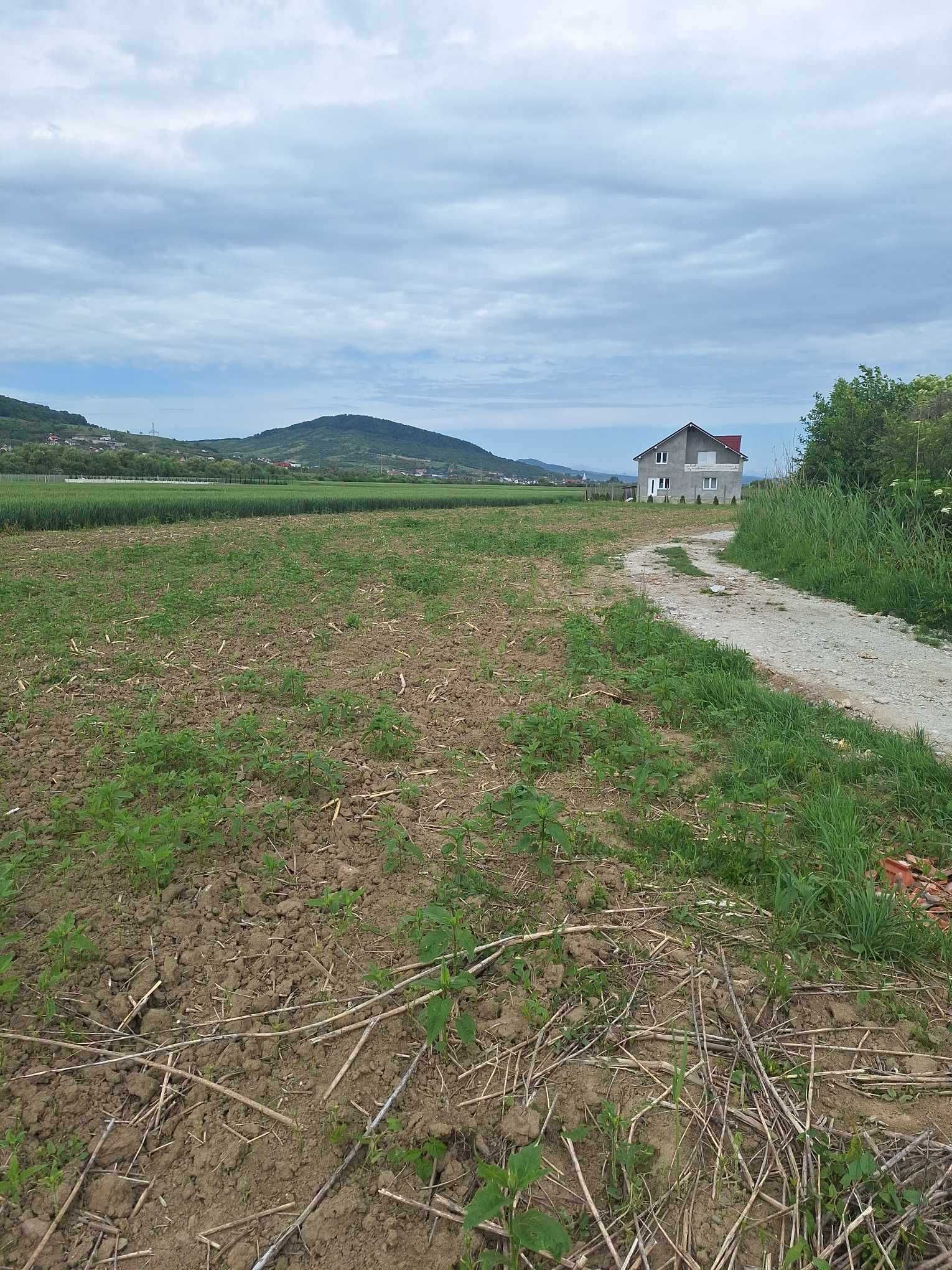 Vand teren parcelat la intrare in Sărata dinspre Bistrița