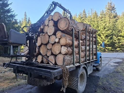 ГАЗ 53 С КРАН 4м.