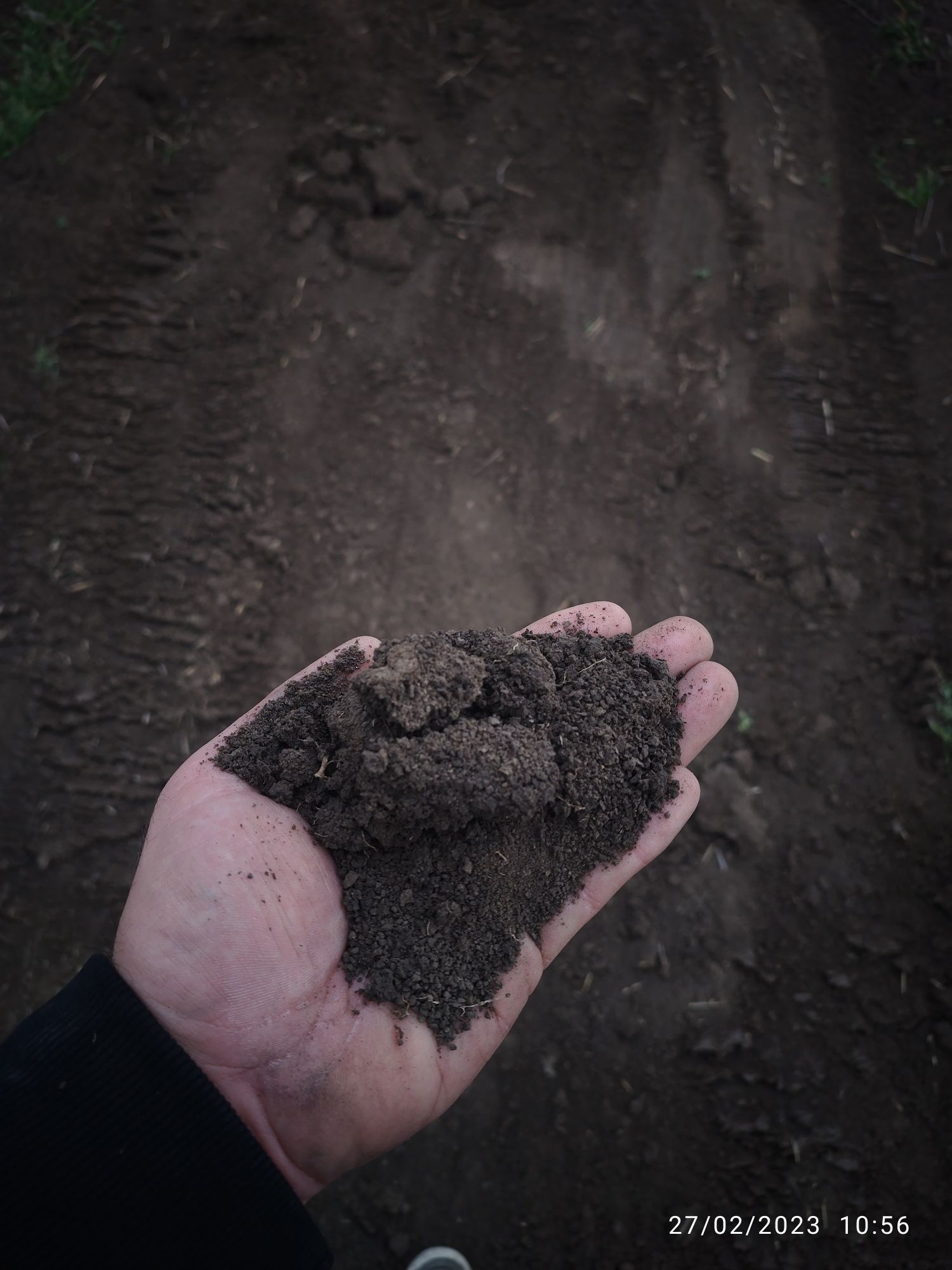 Vând Pamant negru vegetal afânat curat pentru gradina flori gazon