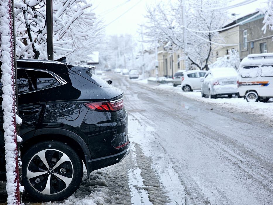 Song plus flagship 2022