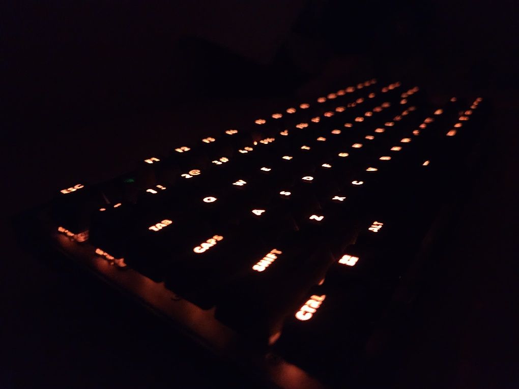 Logitech Pro X TKL Lightspeed