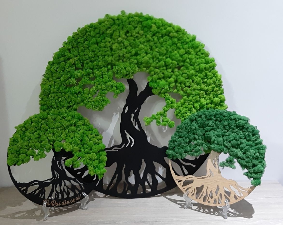 Copacul vietii cu licheni stabilizati