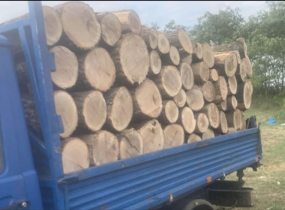 Lemn de foc  esenta tare