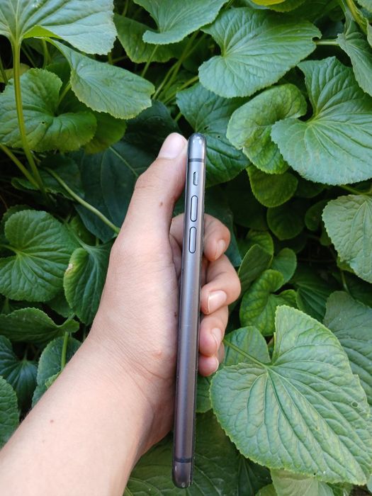 Iphone 11 sotlad