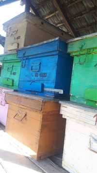 Vand cutii de albine