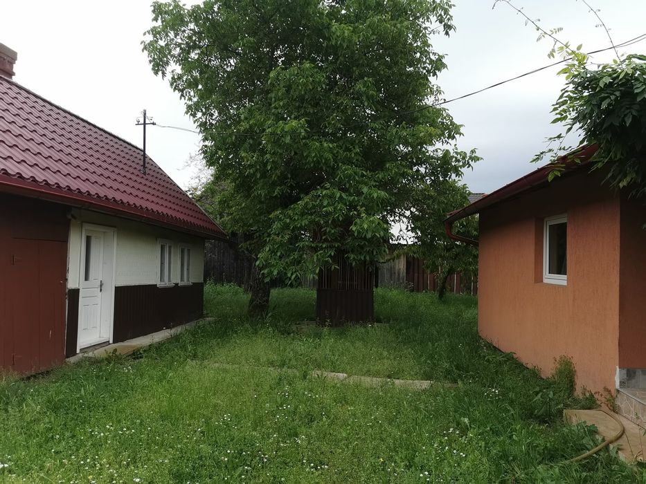 Vând casă și teren in Horodnic de Jos. 43 ari