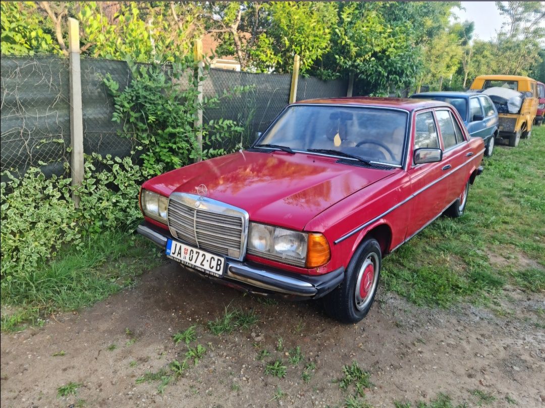 Mercedes 200D, Cobra, an 1983