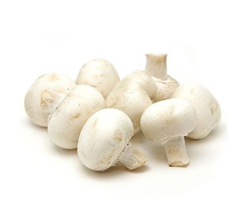 Ciuperci Champignon En-gross & En-detail