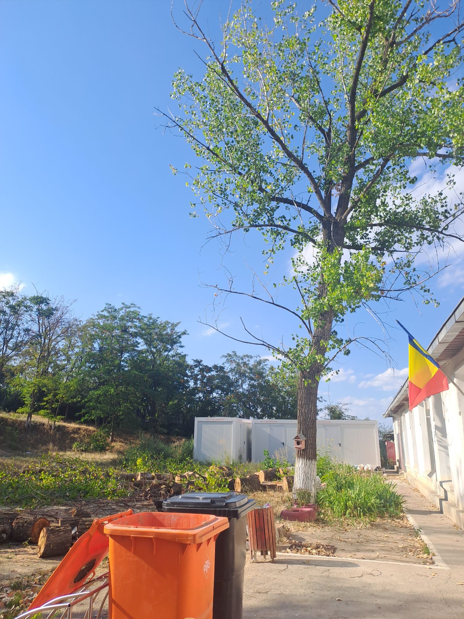 Tăiere Arbori/Toaletare/Alpinism Utilitar/Rapid.