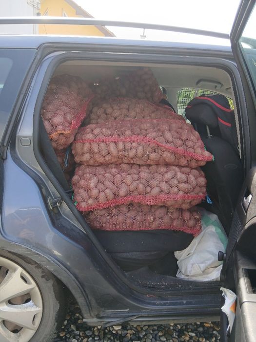 Cartofi animale 074[060]45[98)