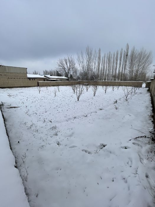 Тайлок Бахштеппа Махалласида ер  4.900$дан