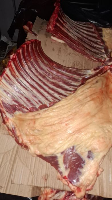 Продам мясо.   0