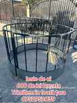 Iesle de oi si capre
