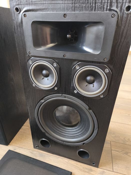 Boxe Cat Berlin Disco