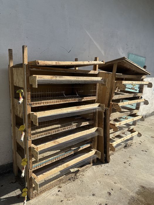 Клетки для перепелок бодене 2 штуки