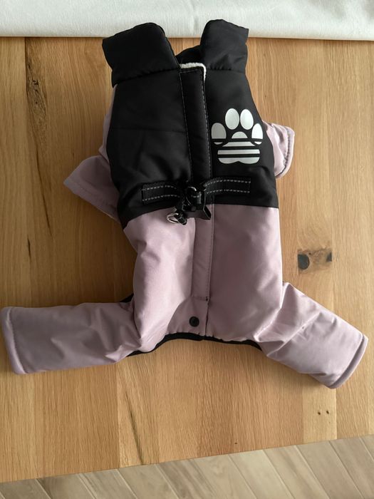 Кучешки гащеризон