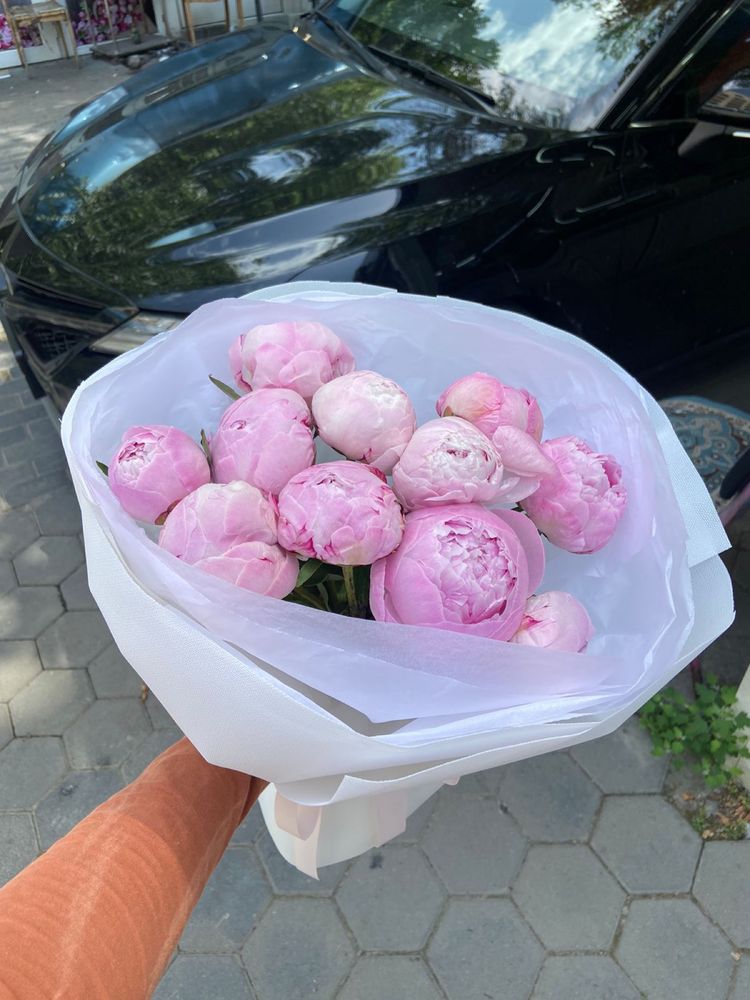 Пионы Алматы оптом и в Розницу