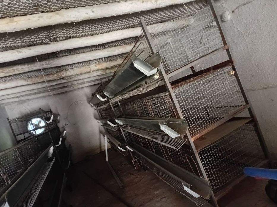 Клетка для куриц