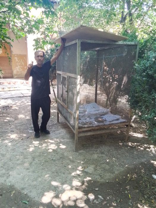 Кафас  сотилади срочна пул зарил