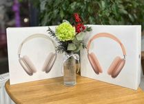 Наушники Apple AirPods Max 2