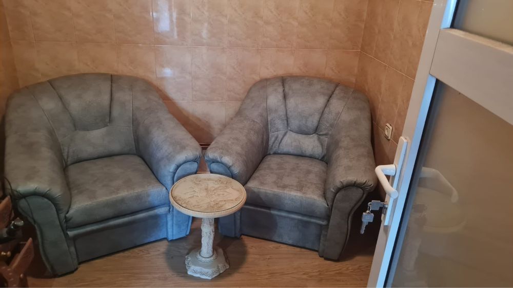 Fotolii din piele ecologică