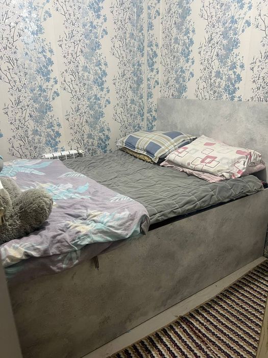 Eshonguzar algoritmda qizlaga kvartira sheriklikka