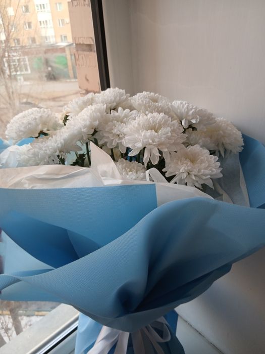 Продам цветы свежие