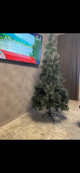 Продам елку 1,5 метра высота