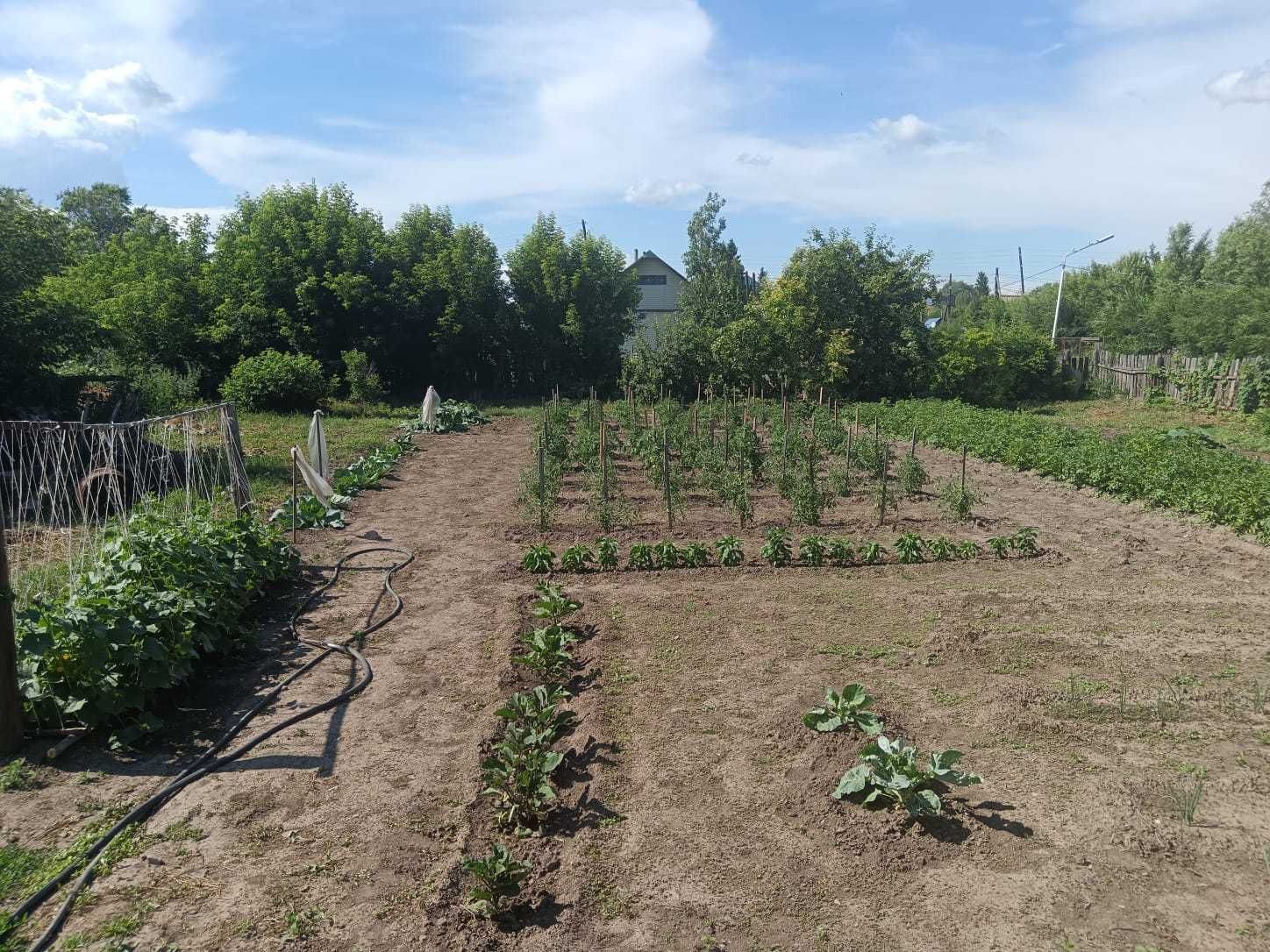 Продам дом в Улкен-Нарыне