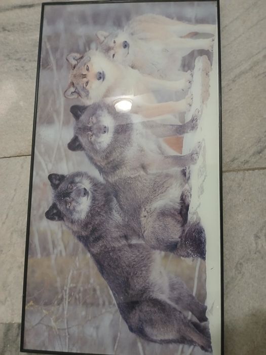 Holati yaxshi narxi Har birini 80000 mingdan deyarli ishlatilmagan zor