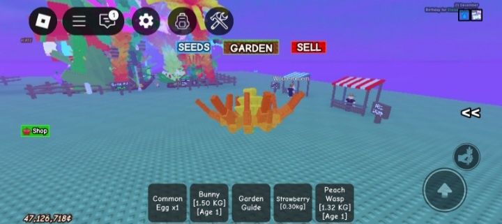 Акк роблокс блокс фрутс и вырасти сад