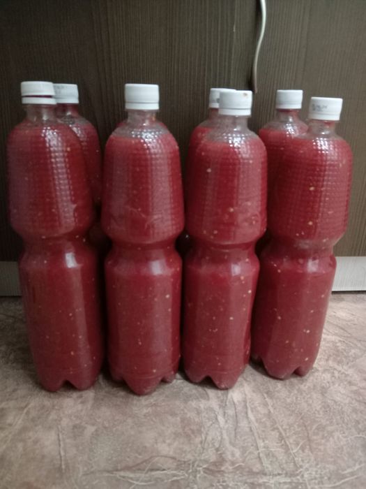 Огонёк домашний из южной части Казахстана 2000тг