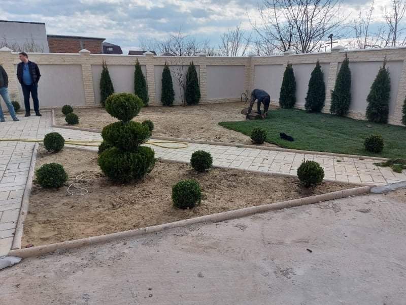 Gazon premium plante ornamentale piatră naturală sistem de irigații