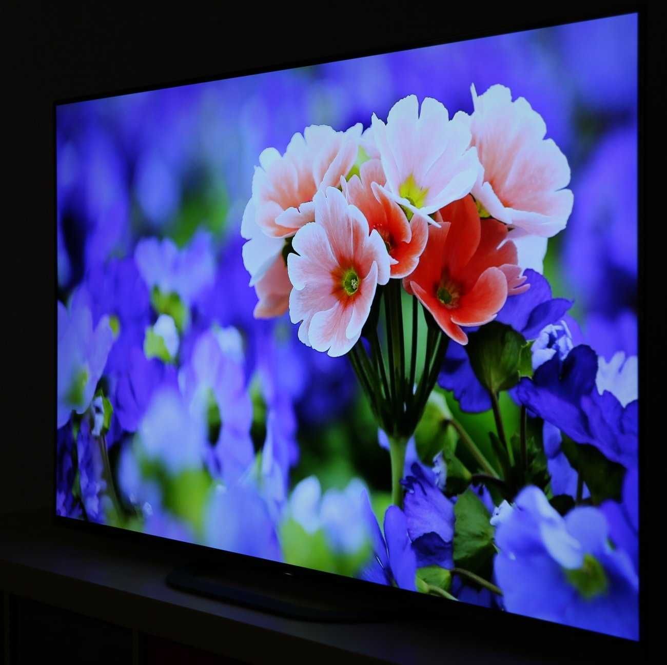 Smart TV OLED Sony Bravia 55AG8