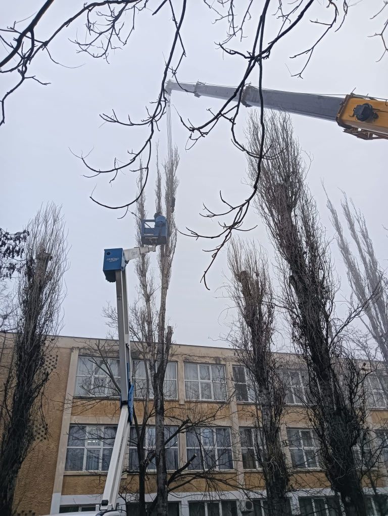 Defrișării/Curățare Grădini/Tăiere Arbori cu alpiniști Rapid
