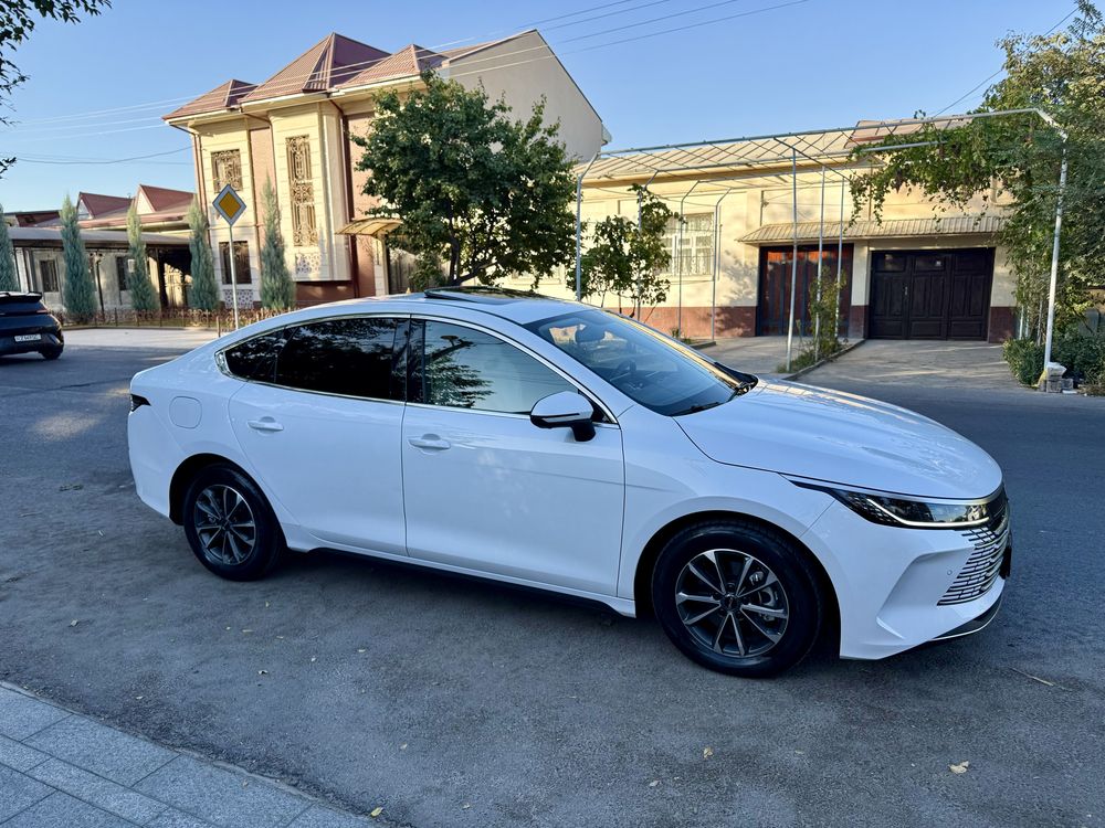 BYD Chazor 2 paz 2024 yil Sotilad