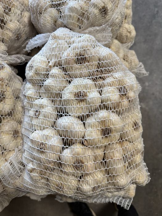 Vand usturoi calitatea 1