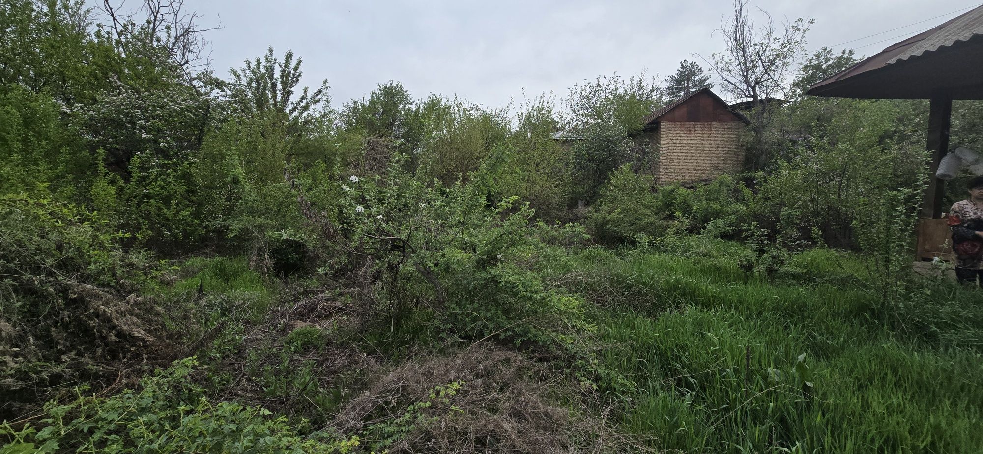 Продам дачу Паркент
