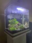 Vand acvariu cu mobilier si filtru extren