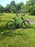 Bicicletă bergamont
