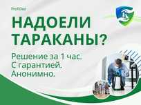 Государственная Лицензия Дезинфекция крыс клопов тараканов ос муравьев