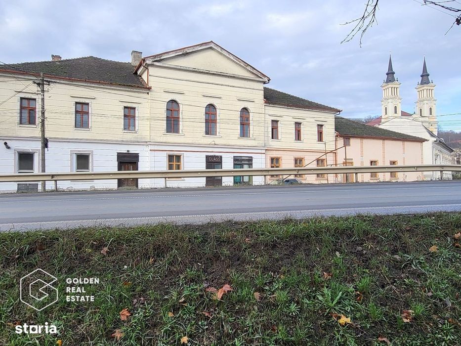 Proprietate tip conac, teren 4468 mp, oras Lipova