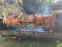 Protap, rotisor facut la foc de lemne.