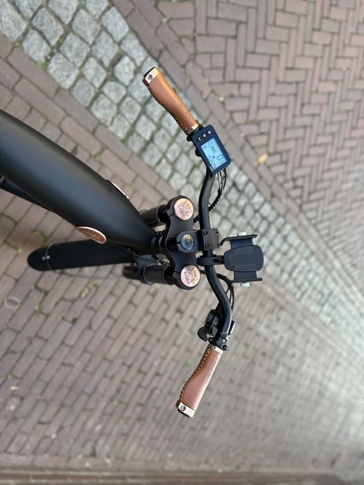 електрически велосипед  / e-bike - RAYVOLT CLUBMAN