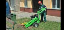 Indepartare cioturi buturugi prin frezare, tocare crengi, scarificare