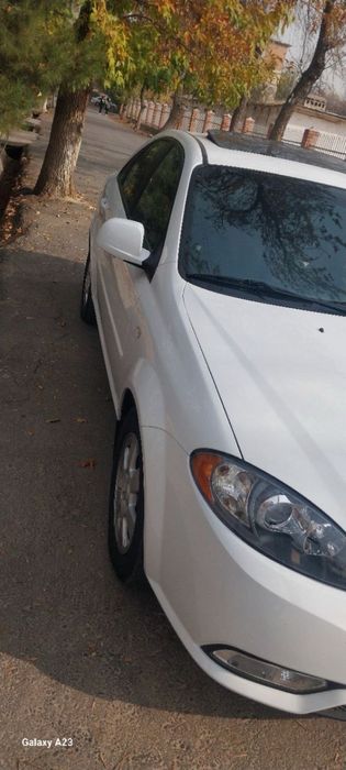 Srochna 2023-yil  oq gentra sotiladi