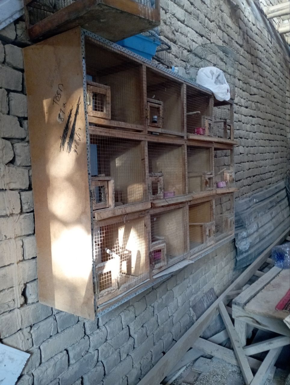 Qushlar uchun qafas