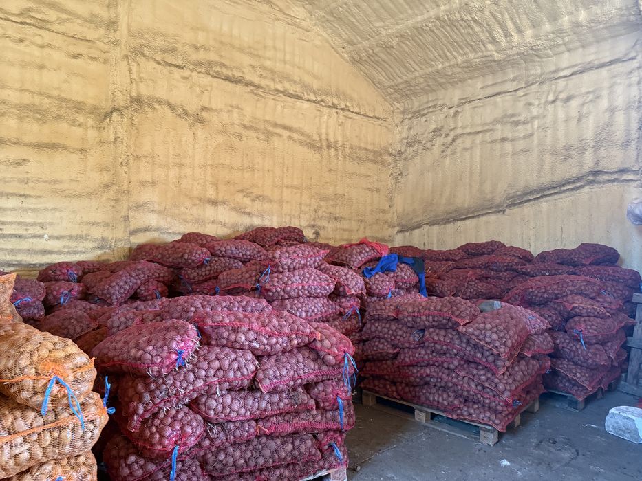 Cartofi de samanta sau animale