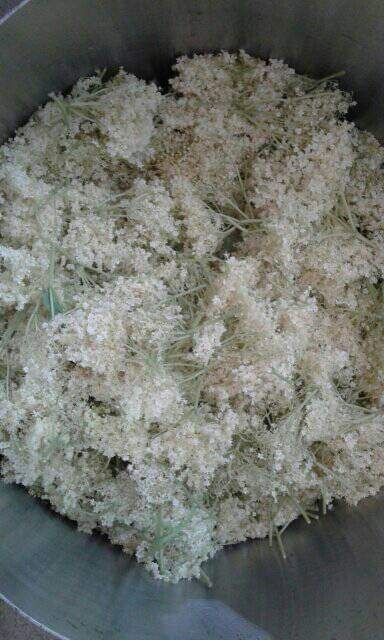 Сироп от бял бъз.