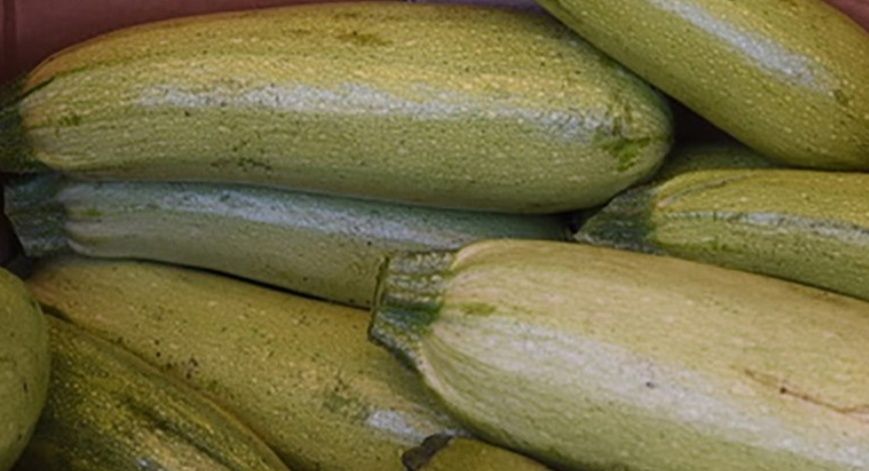 Продам черную редьку